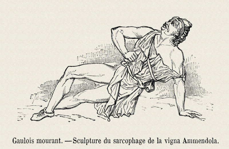 Gaul.
