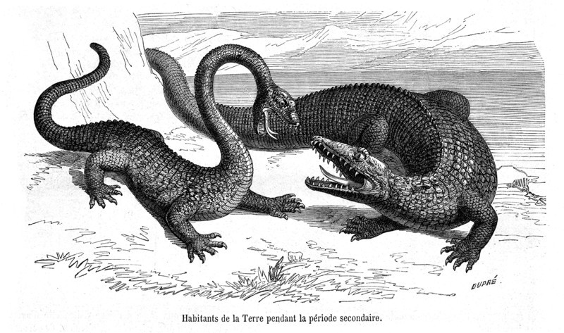 Prehistoric animals.