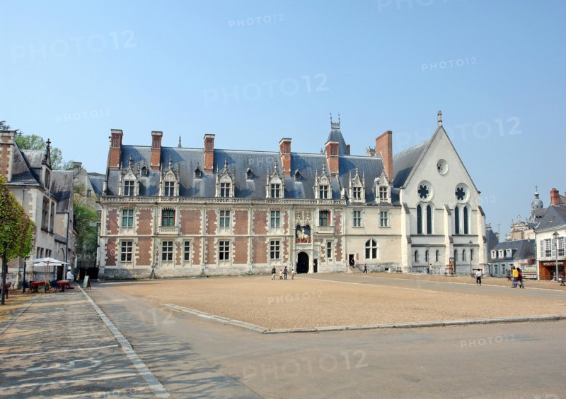 The Royal Castle in Blois.