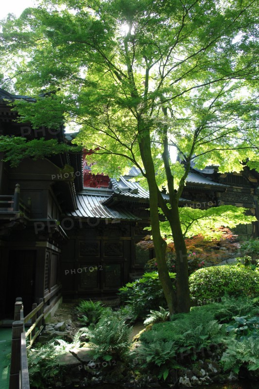 Le Pavillion Chinois