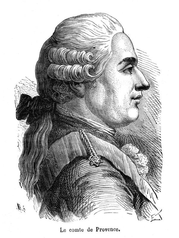 Count of Provence