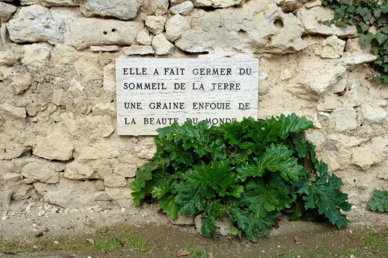 Fouille villa gallo romain de Sèviac