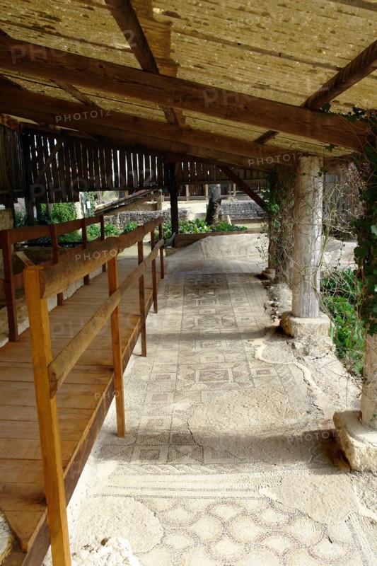 Gaulle-roman exacavtion villa of Seviac