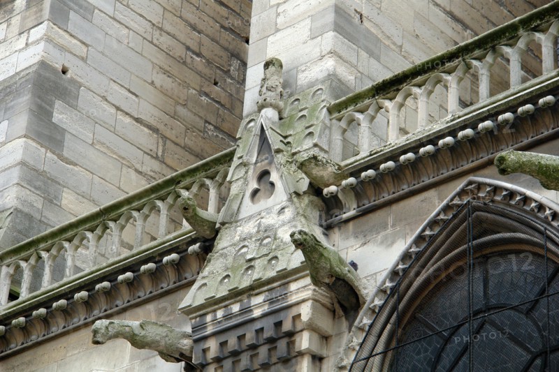 Notre Dame of Paris