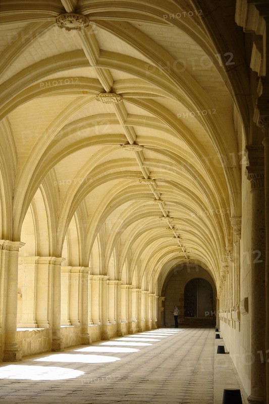 L'abbaye de Fontevraud.
