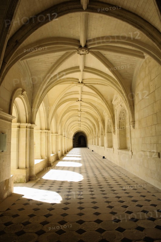 L'abbaye de Fontevraud