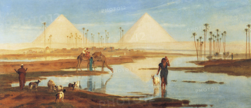 Goodall, Vue sur les Pyramides Egyptiennes