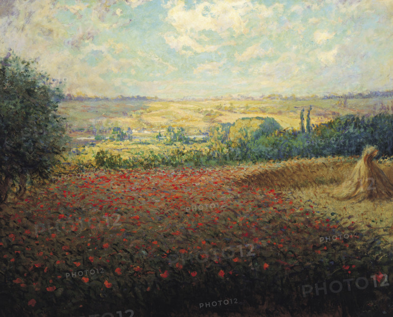 Giran-Max, Les Coquelicots