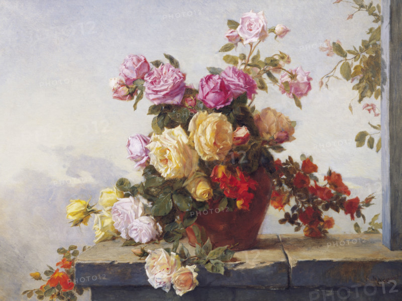 Jance, Bouquet de Roses