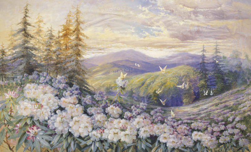 Rowan, Rhododendrons et Papillons