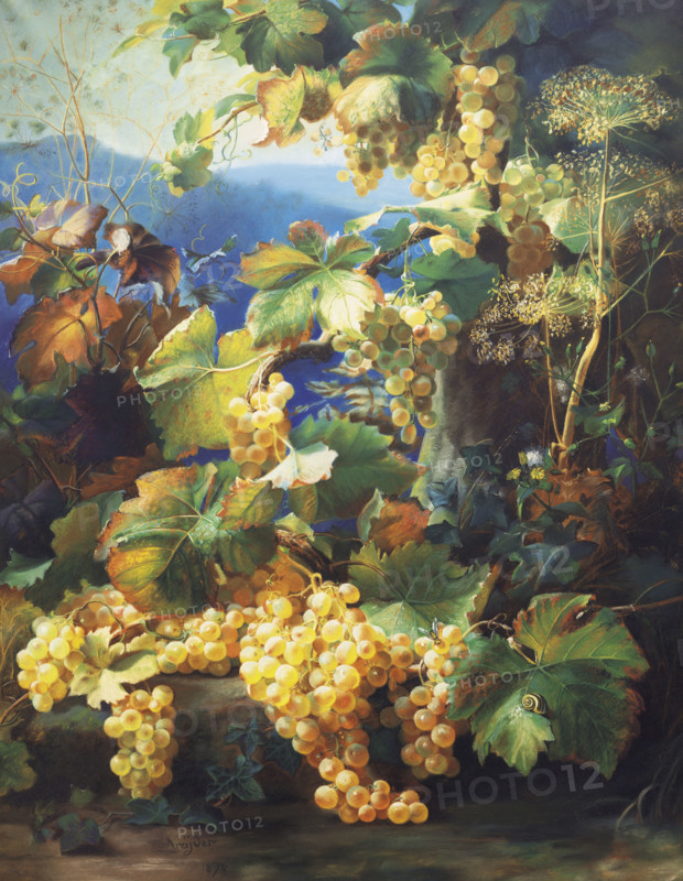 Kreyder, Nature Morte Aux Raisins