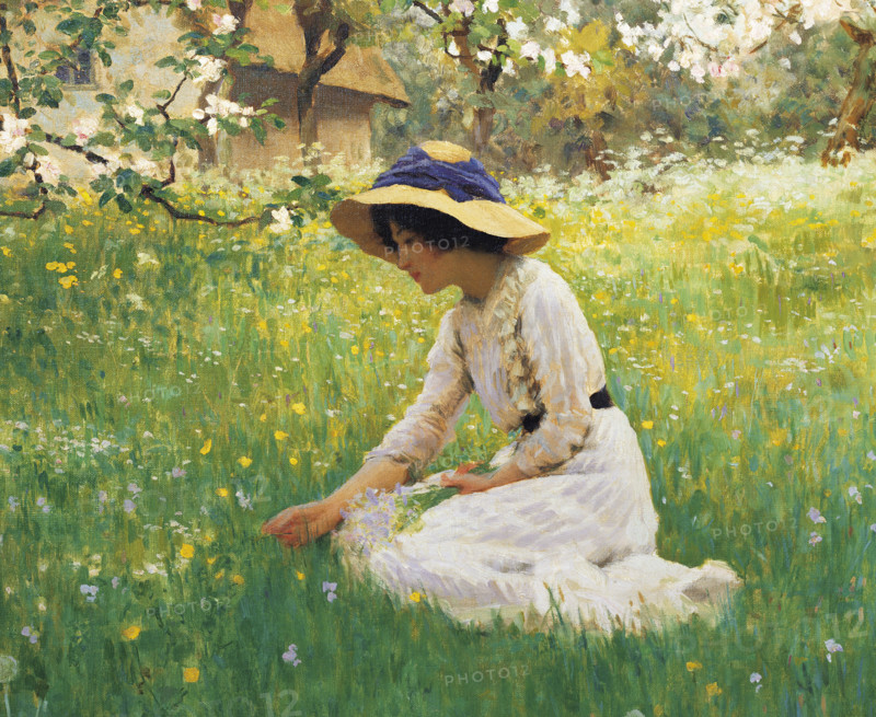 Hacker, Flower meadow