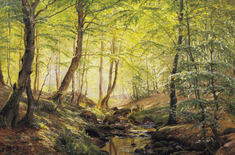 Boesen, A Forest Glade