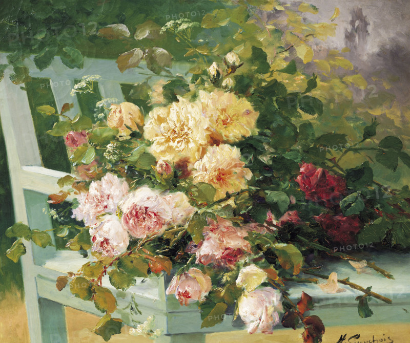 Cauchois, Roses Romantiques