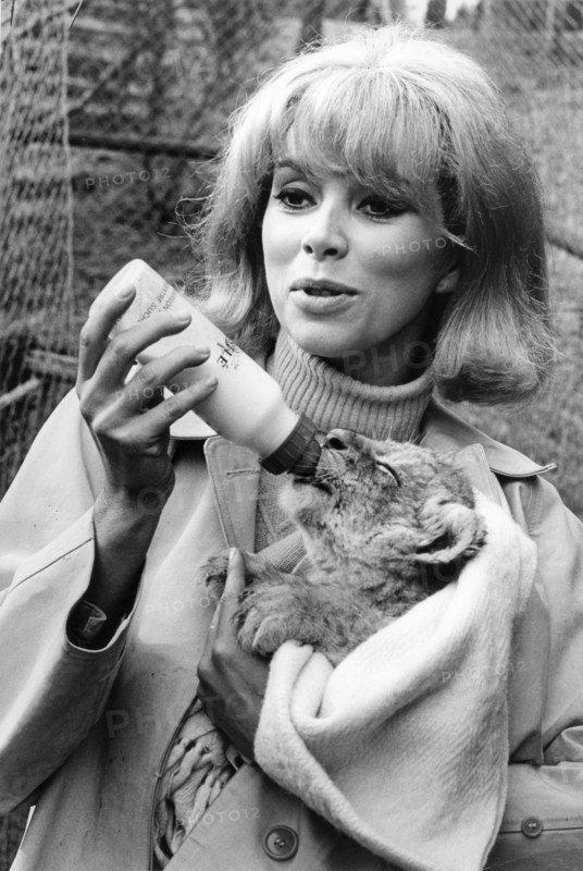 Mireille Darc