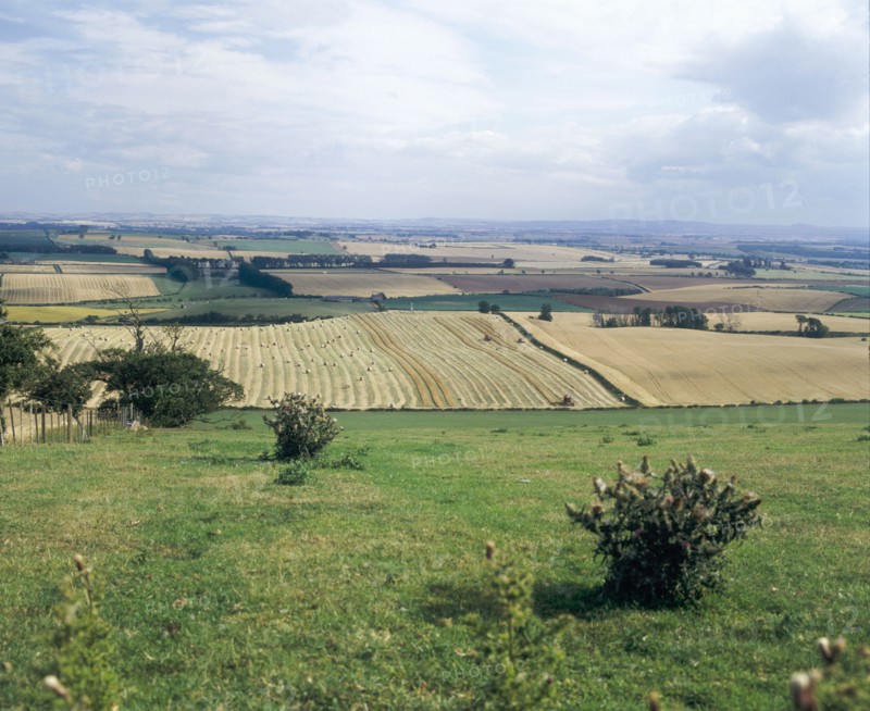 Flodden Field, site of Battle of Flodden 1513, Northumberland, 1994