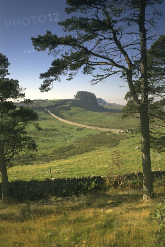 Hadrian's Wall, Northumberland, 1994