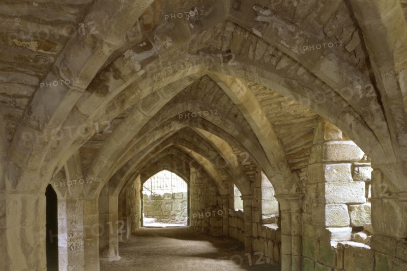 Finchale Priory, Durham, 1999