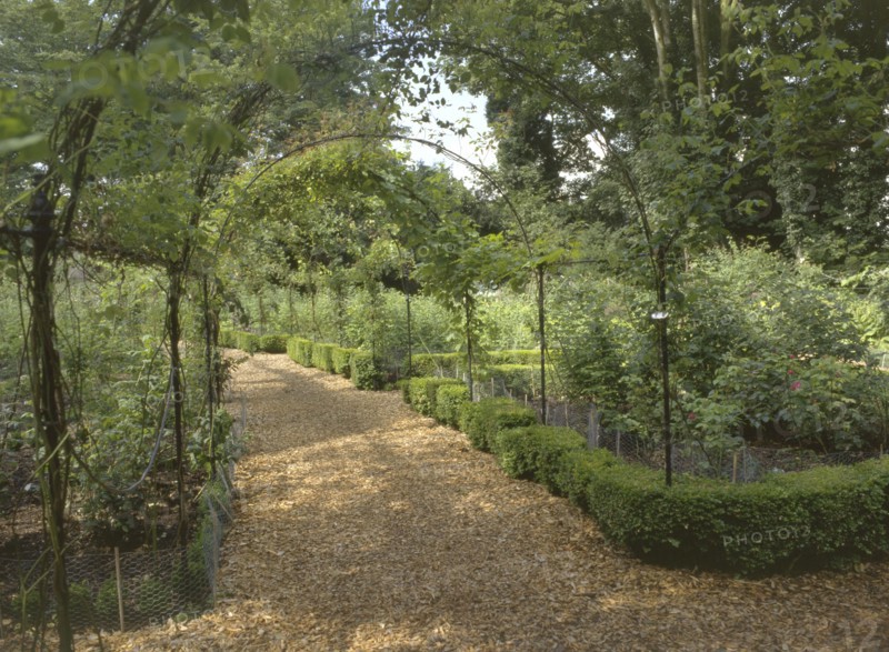 The pergola at Brodsworth Hall, South Yorkshire, 1999