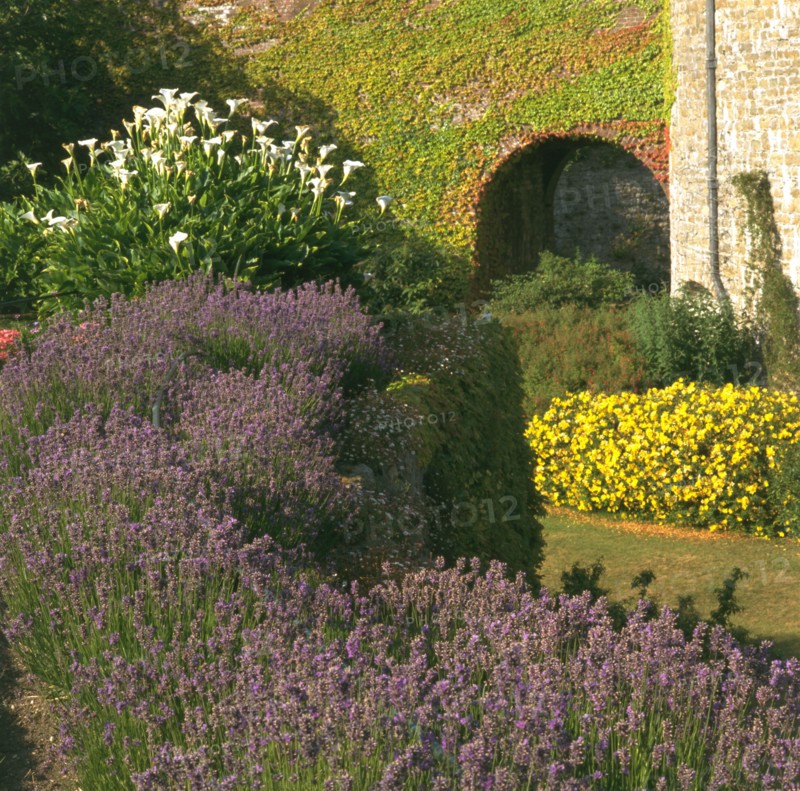 The gardens at Walmer Castle, Deal, Kent, 1996