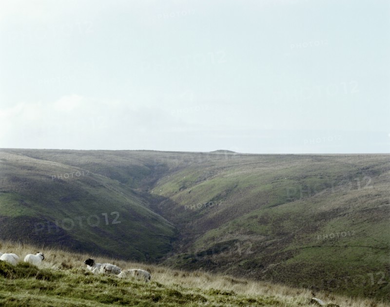 Wood Barrow, Exmoor, Somerset, 1999