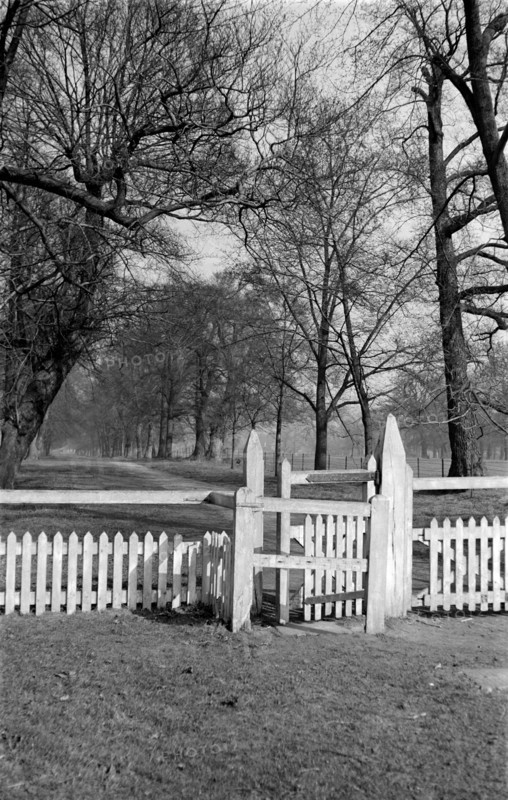 A gated road near Ham House, Richmond, London, c1945-c1965