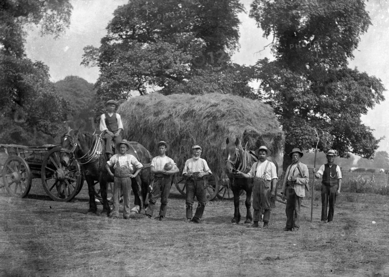 A haycart with haymakers and horses, c1860-c1922