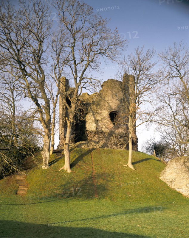 The keep with trees, Longtown Castle, Herefordshire, 1992