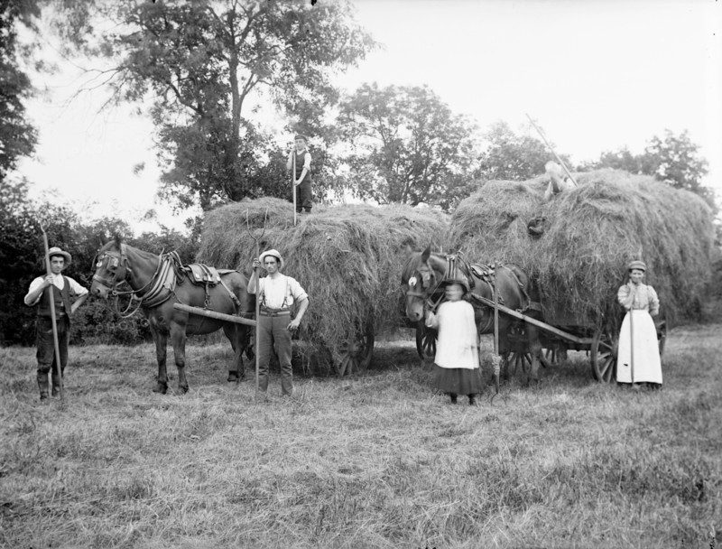 Agricultural workers pose next to loaded hay waggons near Hellidon, Northamptonshire, c1873-c1923