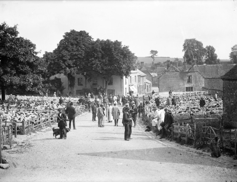Sheep fair at East Ilsley, Berkshire, c1860-c1922