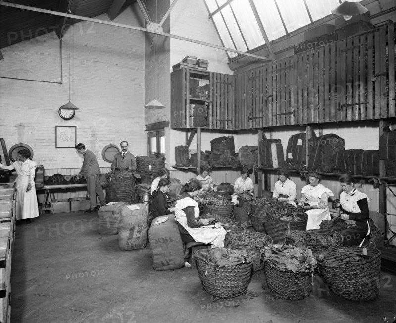 Teofani Cigarette Factory, Brixton, London, 1916