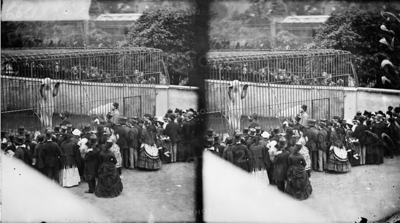 Zoological Gardens, Regent's Park, Westminster, London, c1870-1900