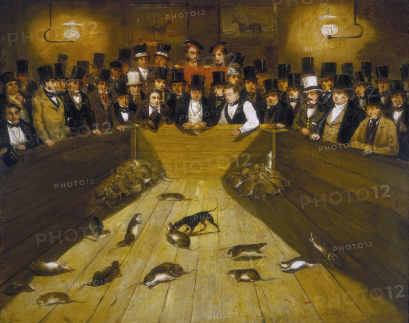 'Rat-Catching at the Blue Anchor Tavern, Bunhill Row, Finsbury', c1850. Creator: Unknown.