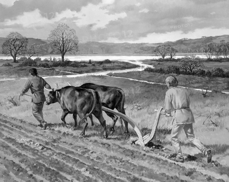 Ploughing in the Bronze Age. Artist: Unknown
