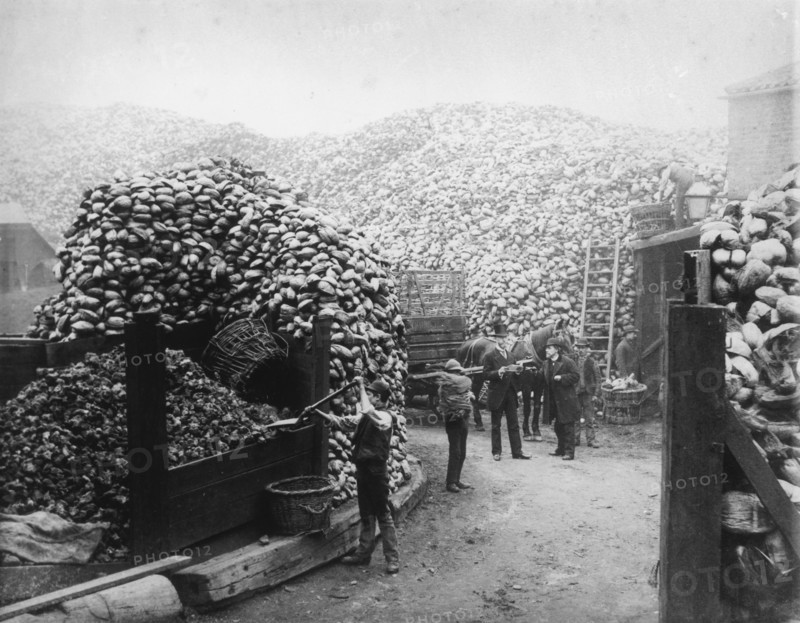 Coconut fibre works, Millwall, London, 1885. Artist: Unknown