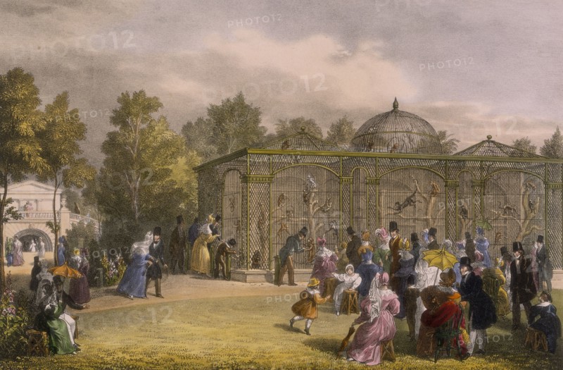 The Monkey House at the Zoological Gardens, Regent's Park, London, 1835.  Artist: George Scharf
