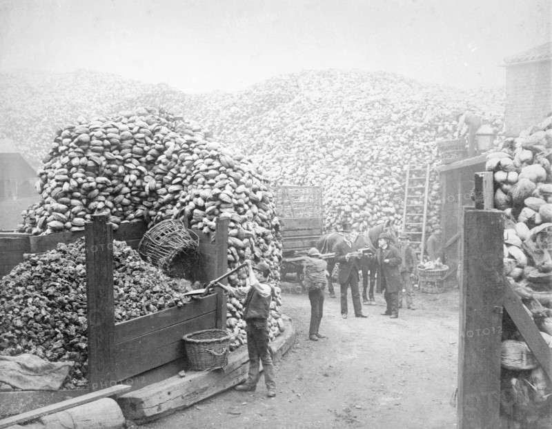 Coconut fibre works, Millwall, London, 1885. Artist: Unknown