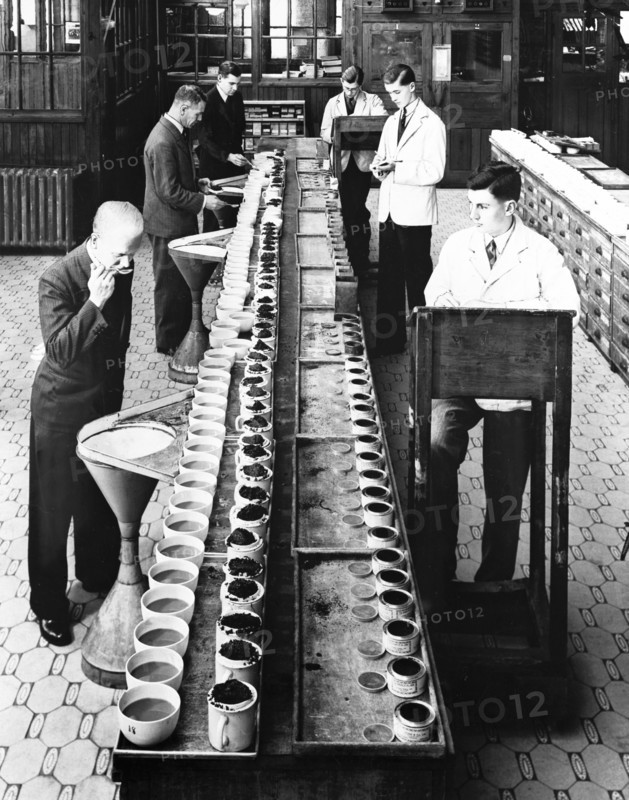 Tea tasters at Lyons tea factory, Greenford, Greater London, post 1920. Artist: Unknown