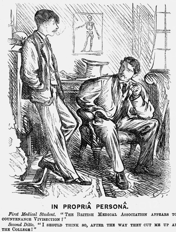 'In Propriâ Personâ', 1875.   Artist: Charles Samuel Keene
