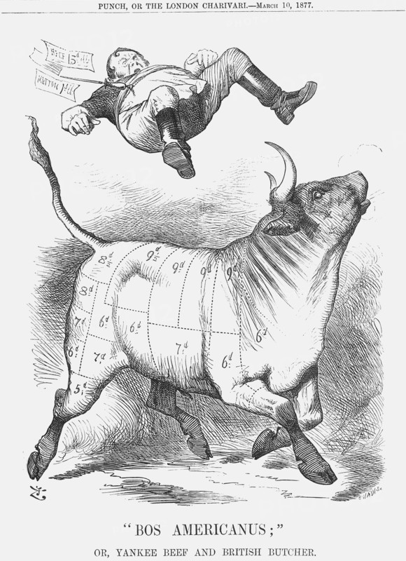Bos Americanus, 1877. Artist: Joseph Swain
