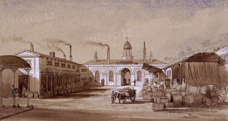 Albany Street, St Pancras, London, c1830. Artist: E Noyce