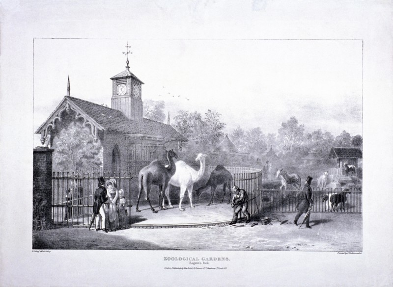 Zoological Gardens, Regent's Park, Marylebone, London, 1835. Artist: George Scharf