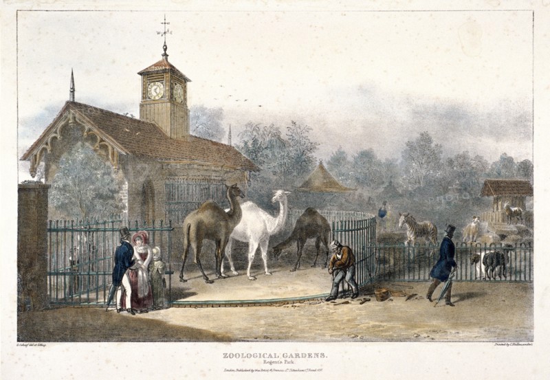 Zoological Gardens, Regent's Park, London, 1835. Artist: Charles Joseph Hullmandel