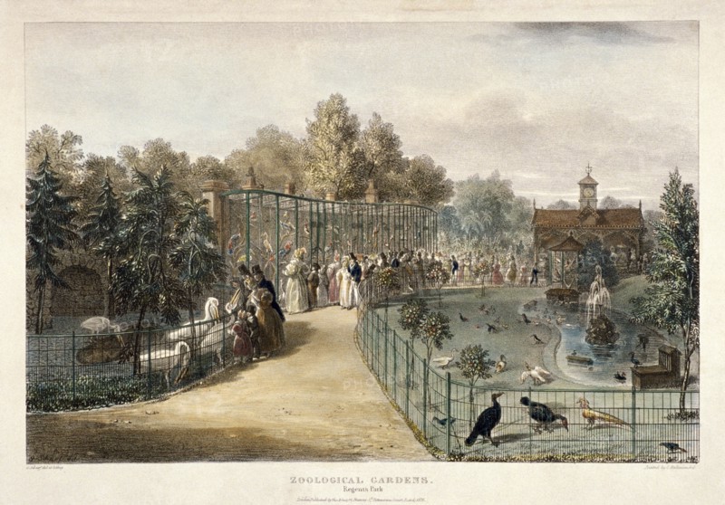 Zoological Gardens, Regent's Park, London, 1835. Artist: George Scharf