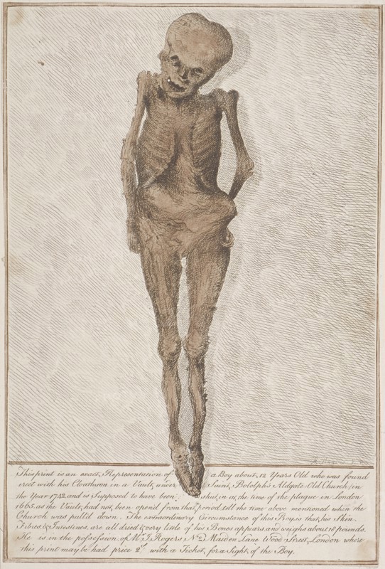 Skeleton of boy found in the vault at St Botolph, Aldgate, London, 1742. Artist: HA Rogers