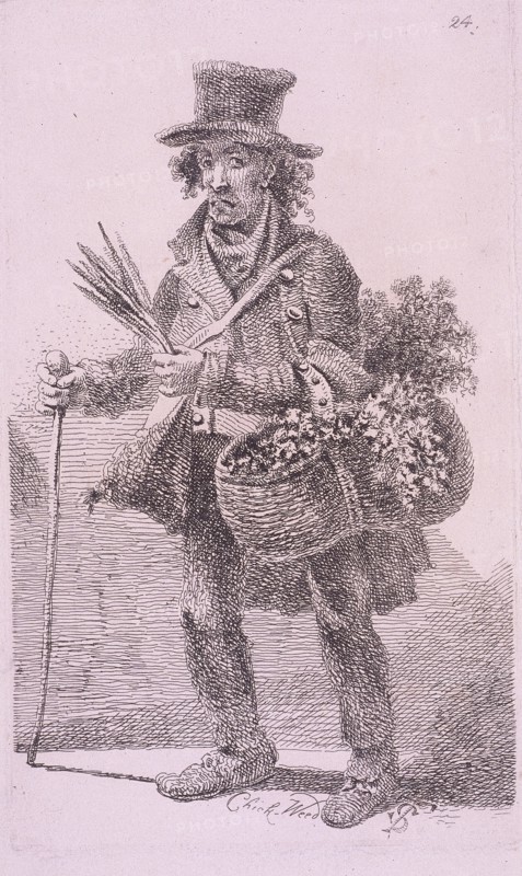 'Chick-Weed', Cries of London, 1819 Artist: John Thomas Smith