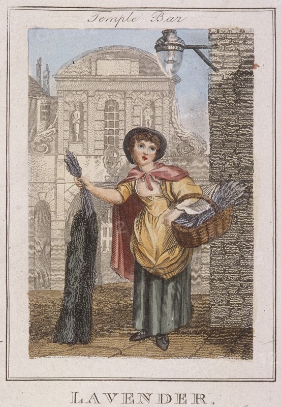 'Lavender', Cries of London, 1804. Artist: Anon