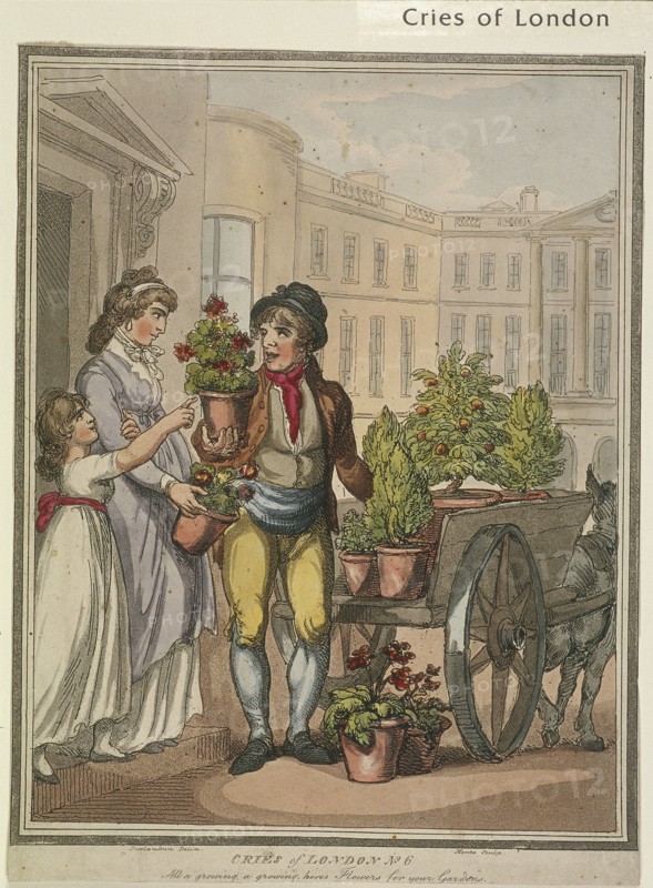 'All a growing, a growing, heres Flowers for you Gardens', plate VI of Cries of London, 1799. Artist: H Merke