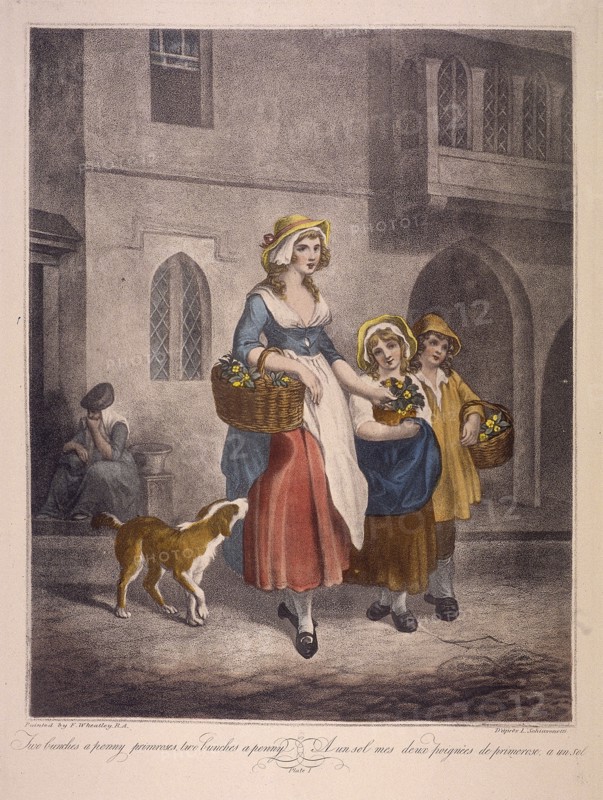'Two bunches a penny primroses, two bunches a penny', Cries of London, c1870. Artist: Anon