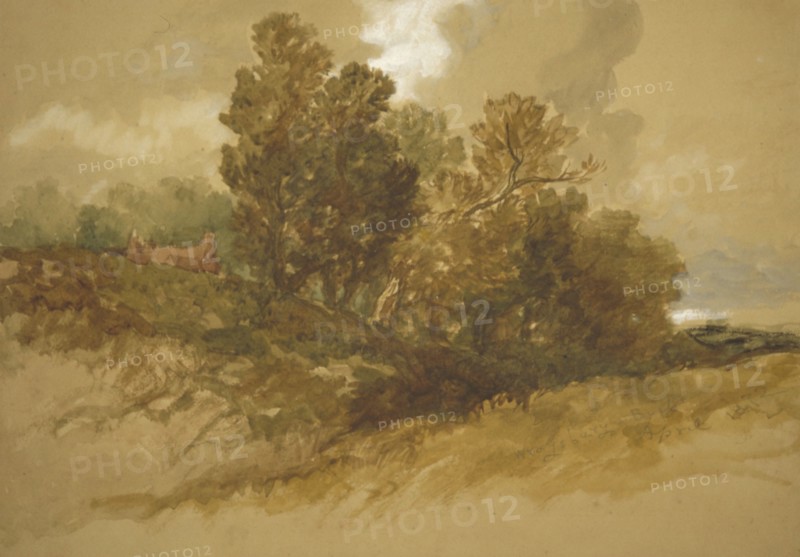 Wraysbury, Buckinghamshire', 1872. Artist: Sir John Gilbert